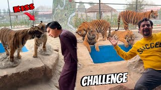 Five Tigers Ko kiss Ki 😱 Mamu Ko Dea Challenge 😀 [upl. by Teeniv]