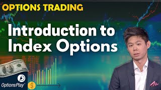 Introduction to Trading Index Options l Options Traders MUST Watch [upl. by Luthanen374]