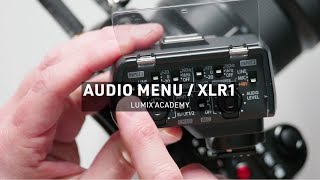 How to get great audio with LUMIX  LUMIX Academy  S5 [upl. by Norramic]