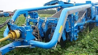 Standen  TSP1900  Sweet Potato Harvester  USA [upl. by Deck159]