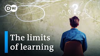 The limits of learning – kids in crisis  DW Documentary [upl. by Ecnesse411]