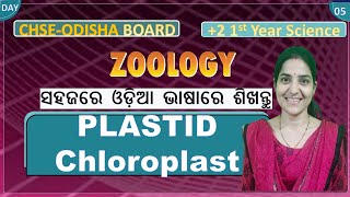 Chloroplast structure and functionPlastidsCell The Unit of LifeCHSE Odisha Board 2 1st year sc [upl. by Friedberg]