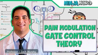 Ascending Tracts  Pain Modulation Gate Control Theory [upl. by Hecklau]