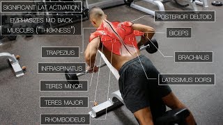 Gluteus Maximus Glute Strain Stretches amp Exercises  Ask Doctor Jo [upl. by Elyr]