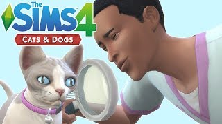 HOW TO VET  The Sims 4 Cats and Dogs  Veterinary Career Walkthrough [upl. by Caro]