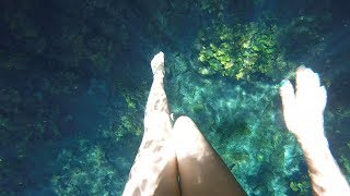 Carnival Paradise Cenote Hopping Excursion Cozumel [upl. by Artinahs]