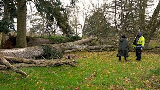 A Storm Hits The Mucky Mansion [upl. by Greenwood]