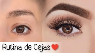 CEJAS PERFECTAS PASO A PASO Fácil para principiantes [upl. by Chor380]