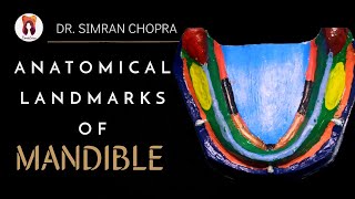 Anatomical Landmarks Of Mandible l Mandibular Landmarks l Prosthodontics [upl. by Justine]