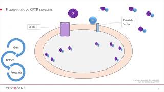 Webinar quotFibrosis Quística presente y futuroquot in Spanish [upl. by Sid809]