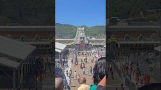 Tirupati Balaji Tirumala Balaji 🛕 tirupati balaji govinda temple shorts [upl. by Winthorpe622]