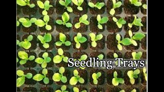 How to use seedling trays [upl. by Lewin608]