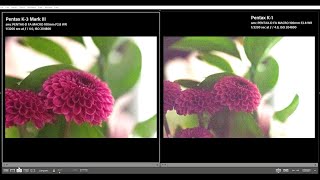 Pentax K3 Mark III vs K1 Mark I ISO Comparison [upl. by Norrie498]