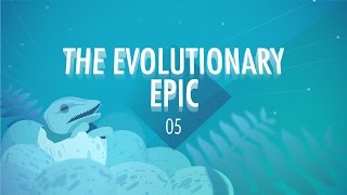 The Evolutionary Epic Crash Course Big History 5 [upl. by Jayne177]