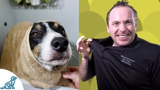 Simple Hacks To Bath Your Dog  Professional Dog Training Tips [upl. by Iams498]