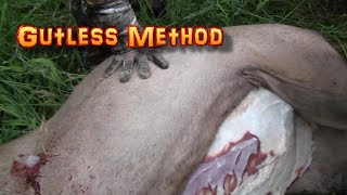 Gutless field dressing technique on an elk [upl. by Zerelda]