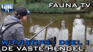 Fauna TV  Witvistips deel 1 vaste hengel [upl. by Dymoke]