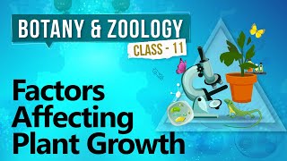 Factors Affecting Plant Growth  Plant Growth and Development  Biology Class 11 [upl. by Airekahs]