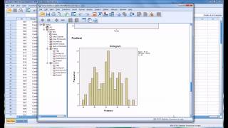 Conducting a ShapiroWilk Normality Test in SPSS [upl. by Geordie]