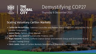 Scaling Voluntary Carbon Markets VCM [upl. by Denby52]