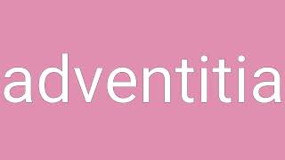 Adventitia Definition amp Meaning [upl. by Guidotti249]