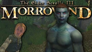 Morrowind but its Oblivion [upl. by Thadeus]