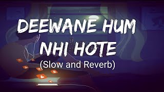 Deewane Hum Nahi Hote Slow and Reverb  Lofi  Hindi  Slow and Reverb songs  Lyrical Audio [upl. by Annoiek]