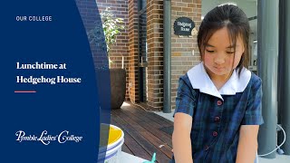 Lunchtime at Hedgehog House  Pymble Ladies College [upl. by Nomde]