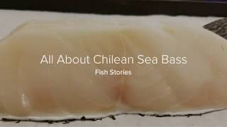 All About Chilean Sea Bass [upl. by Shelby]