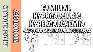 Familial Hypocalciuric Hypercalcemia  other calcium sensing disorders  pathophysiology treatment [upl. by Ahsatsana]