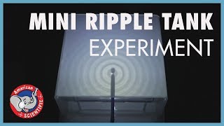 STEM Experiment Ripple Tank [upl. by Hiett]