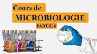 cours de microbiologie partie 6  notion despèce et souche type  la classification des bactéries [upl. by Lenes]