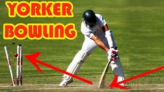 How To Bowl A Perfect Yorker In Cricket  Tips For Bowling Yorker In Hindi [upl. by Gerhard513]