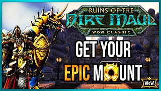 Dire Maul Release  How To Get Your Paladin Charger  Classic WoW [upl. by Yssej]