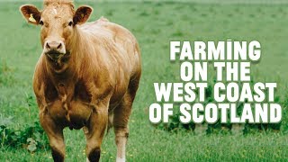 Farming on the west coast of Scotland [upl. by Alage623]