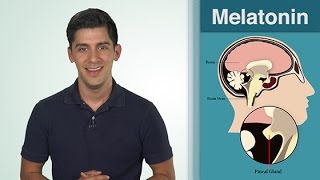 What Is  Melatonin [upl. by Niamjneb]