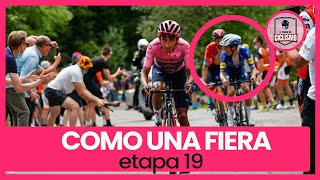 Así defendió la Rosa EGAN BERNAL  Etapa 19 giro de Italia 2021 [upl. by Condon691]