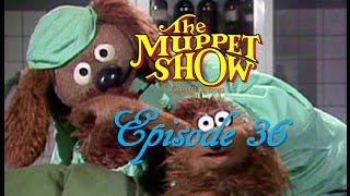 The Muppet Show Compilations  Episode 36 Veterinarians Hospital Season 2 [upl. by Massimo477]