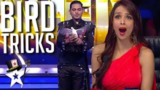 Magician Conjures BIRDS To The Stage on Indias Got Talent  Magicians Got Talent [upl. by Janean984]