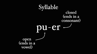 How Latin Does Syllables [upl. by Edurtreg]