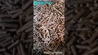 Pellet Making Machine  How to Make Pellets From Biomass [upl. by Mutat778]