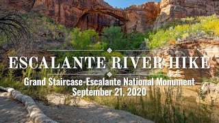 Escalante River Hike Grand StaircaseEscalante National Monument Utah [upl. by La51]