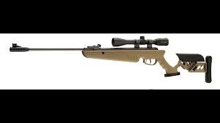 Swiss Arms TG 1 177 Cal 1400FPS Pellet Rifle Review [upl. by Gregson481]