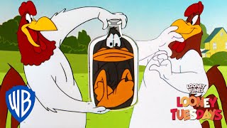 Looney Tuesdays  Iconic Characters Foghorn Leghorn  Looney Tunes  WB Kids [upl. by Eneloc]