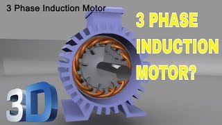 3 Phase Induction Motor [upl. by Inness77]