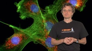 Microscopy Introduction to Fluorescence Microscopy Nico Stuurman [upl. by Moscow]