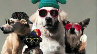 YOURE A GOOD DOG Video Song [upl. by Johnette]