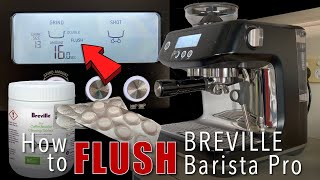 How to Flush Breville Barista Pro  Sage Barista Pro  ASMR  kape atbp [upl. by Akimik]