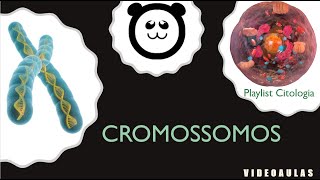 Cromossomos [upl. by Nais]