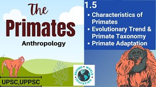 15 Characteristics of Primates Evolutionary Trend and Primate Taxonomy Primate Adaptation  UPSC [upl. by Hugh]